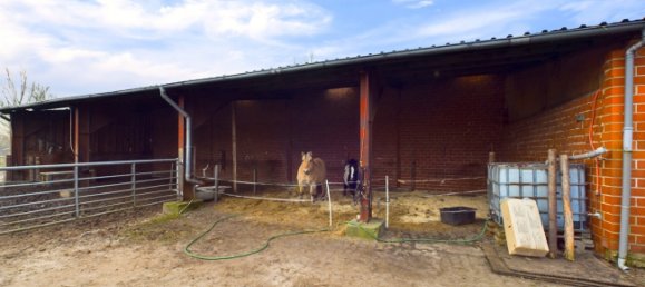 25 bedrooms Farm in Emsland, Germany No. 308342 8