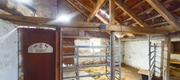 25 bedrooms Farm in Emsland, Germany No. 308342 13