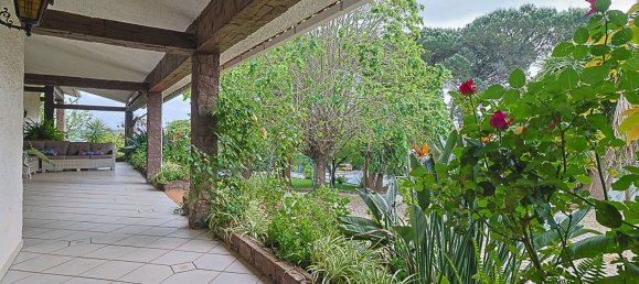 5 bedrooms House in Coimbra, Portugal No. 189990 4