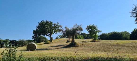 15 rooms House in Cingoli, Italy No. 166081 4