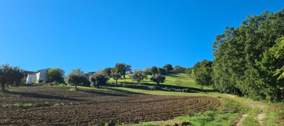 15 rooms House in Cingoli, Italy No. 166081 3