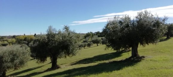 15 rooms House in Cingoli, Italy No. 166081 26
