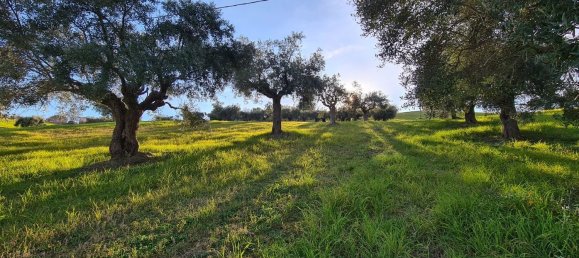 15 rooms House in Cingoli, Italy No. 166081 2