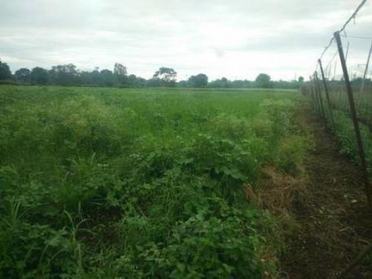  Land in Nashik, India No. 41021