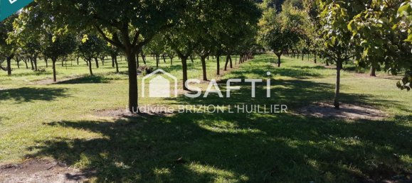 Casa de 4 dormitorios en Hannonville-sous-les-Cotes, France No. 60720 6