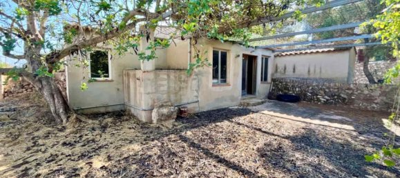 4 bedrooms House in Campos, Spain No. 185910 20