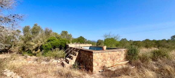 4 bedrooms House in Campos, Spain No. 185910 21