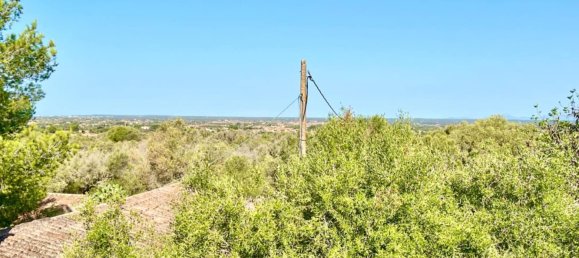 4 bedrooms House in Campos, Spain No. 185910 26