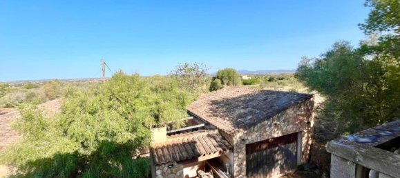 4 bedrooms House in Campos, Spain No. 185910 25