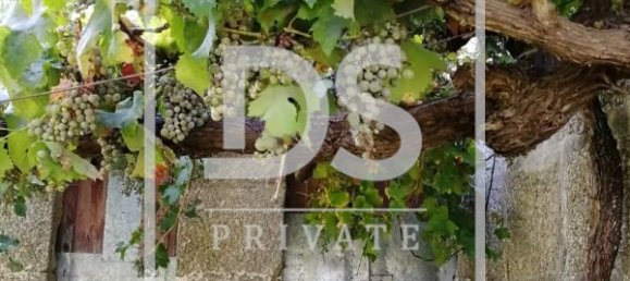 3 bedrooms House in Baiao, Portugal No. 78745 14