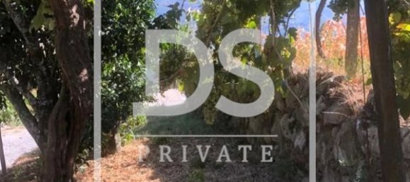 3 bedrooms House in Baiao, Portugal No. 78745 13