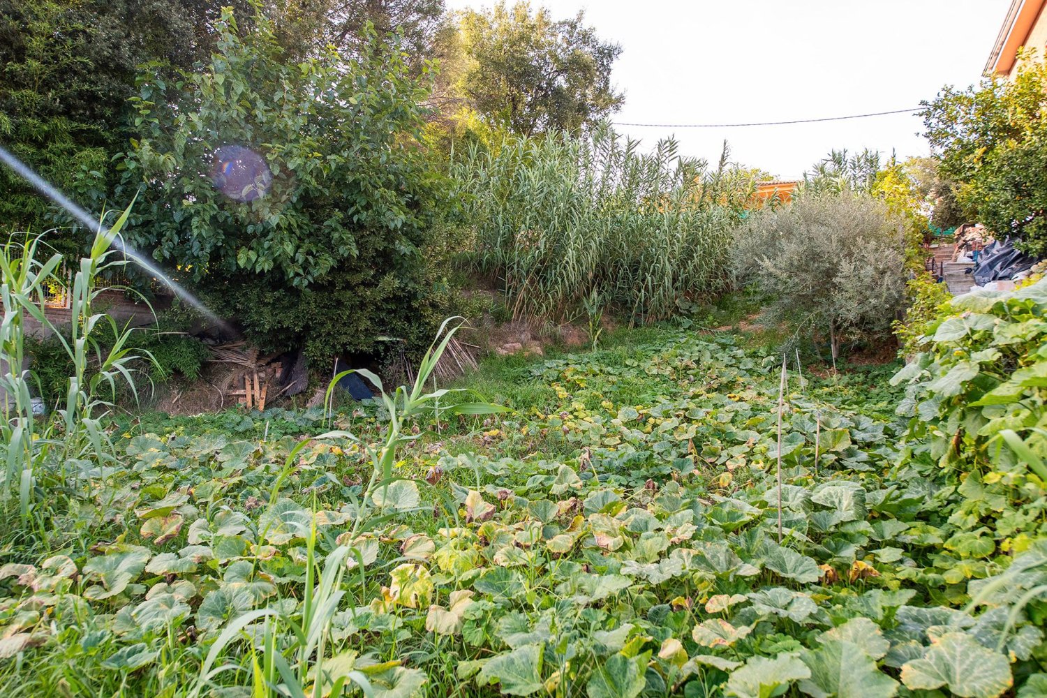 Terreno en Banyoles, Spain 465 m² No. 241137