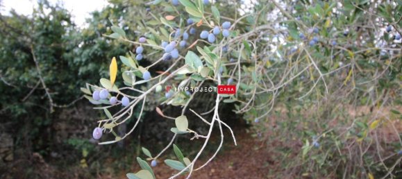 Casa de 5 habitaciónes en Martina Franca, Italy No. 143870 16