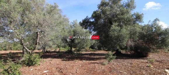 Casa de 5 habitaciónes en Martina Franca, Italy No. 143870 5