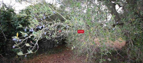 Casa de 5 habitaciónes en Martina Franca, Italy No. 143870 13
