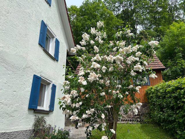 Таунхаус с 10 комнатами в Брайсгау-Верхний Шварцвальд, Германия № 75323