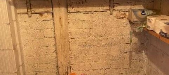 Таунхаус с 10 комнатами в Брайсгау-Верхний Шварцвальд, Германия № 75323 23