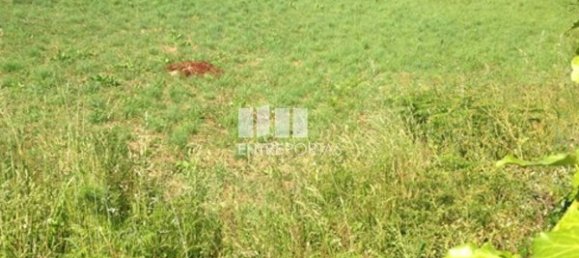  قطعة أرض في Caminha, Portugal 932متر مربع رقم 93775 3