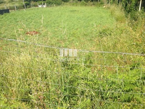  قطعة أرض في Caminha, Portugal 932متر مربع رقم 93775