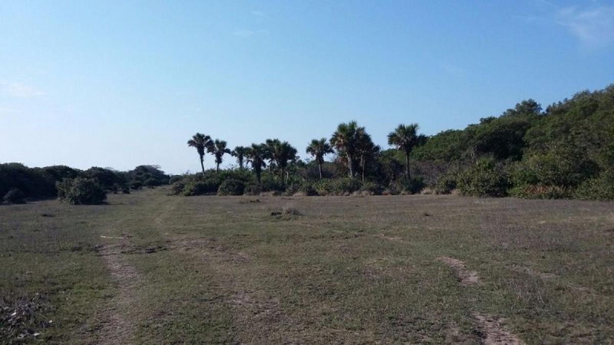 Terrain à Veracruz, Mexico No. 205066