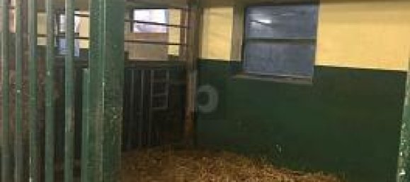 Castelos de 6 divisões em Schleswig-Holstein, Germany N.º 95398 5