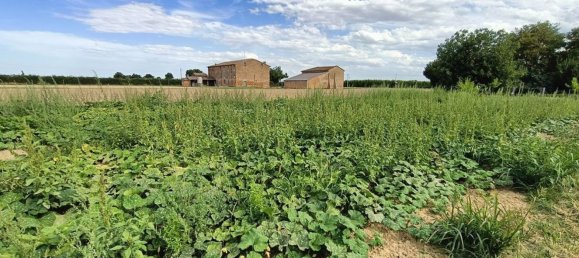  قطعة أرض في Lugo, Italy 56000متر مربع رقم 283980 4