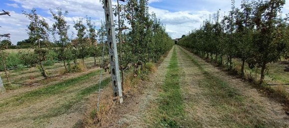  قطعة أرض في Lugo, Italy 56000متر مربع رقم 283980 5