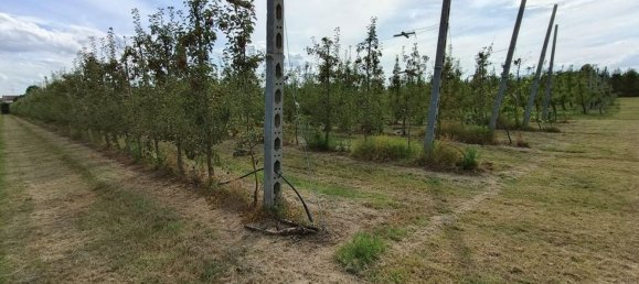  قطعة أرض في Lugo, Italy 56000متر مربع رقم 283980 6