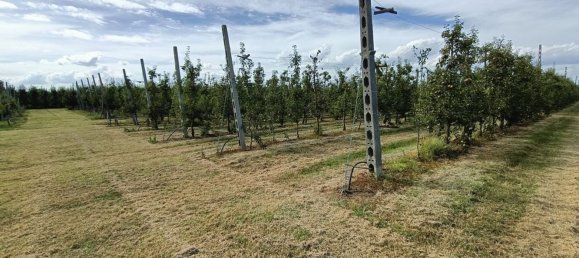  قطعة أرض في Lugo, Italy 56000متر مربع رقم 283980 7