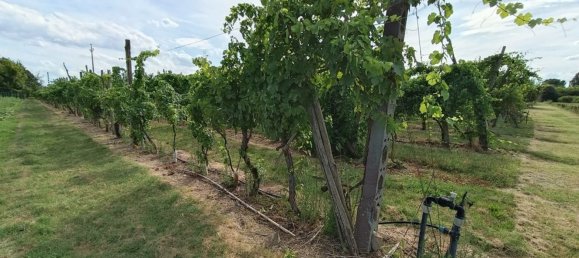  قطعة أرض في Lugo, Italy 56000متر مربع رقم 283980 10