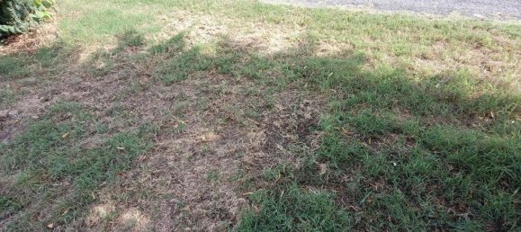  قطعة أرض في Lugo, Italy 56000متر مربع رقم 283980 19