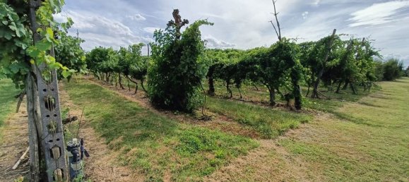  قطعة أرض في Lugo, Italy 56000متر مربع رقم 283980 9