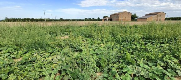  قطعة أرض في Lugo, Italy 56000متر مربع رقم 283980 3