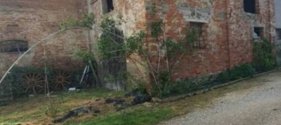 418m² Warehouse in Salara, Italy No. 127572 5