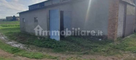 418m² Warehouse in Salara, Italy No. 127572 6
