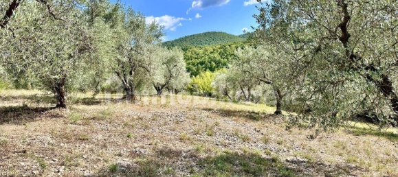 3 bedrooms Villa in Torricella in Sabina, Italy No. 342511 5