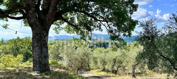 3 bedrooms Villa in Torricella in Sabina, Italy No. 342511 3