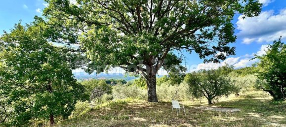 3 bedrooms Villa in Torricella in Sabina, Italy No. 342511 24