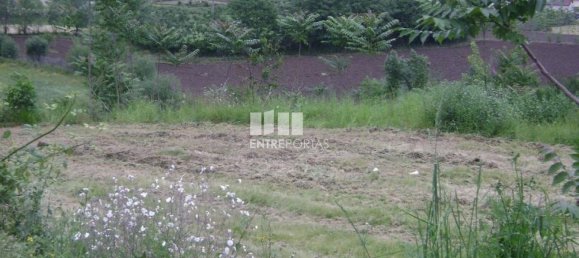 7500m² Land in Amarante, Portugal No. 57434 7