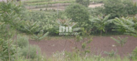 7500m² Land in Amarante, Portugal No. 57434 8