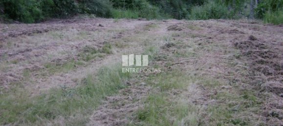 7500m² Land in Amarante, Portugal No. 57434 5