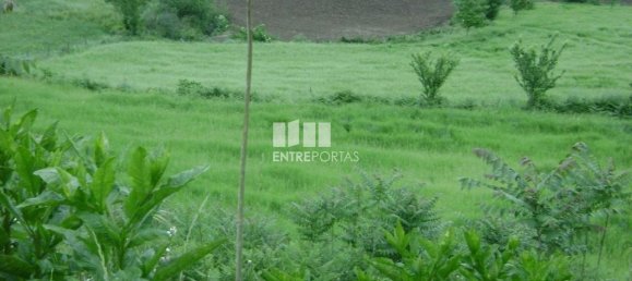 7500m² Land in Amarante, Portugal No. 57434 3