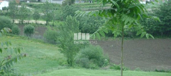 7500m² Land in Amarante, Portugal No. 57434 4