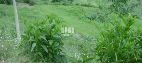 7500m² Land in Amarante, Portugal No. 57434 2