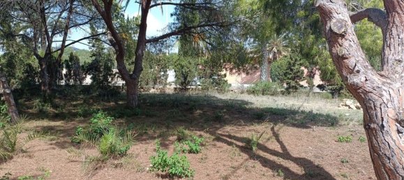  Land in Cabo Roig, Spain No. 189155 11