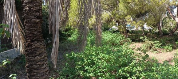  Land in Cabo Roig, Spain No. 189155 9