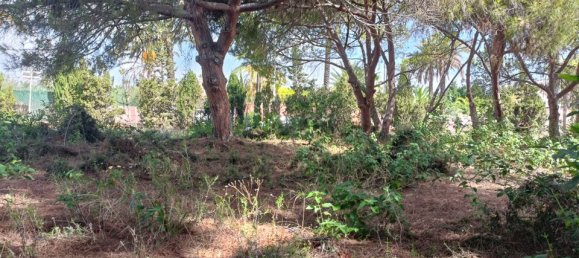  Land in Cabo Roig, Spain No. 189155 7