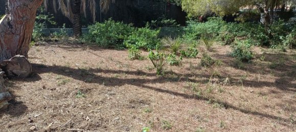  Land in Cabo Roig, Spain No. 189155 10