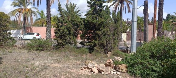  Land in Cabo Roig, Spain No. 189155 12