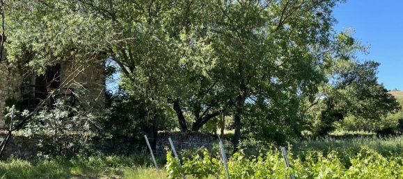 Коммерческая недвижимость 310м² в Котиньяк, Франция № 1583 3